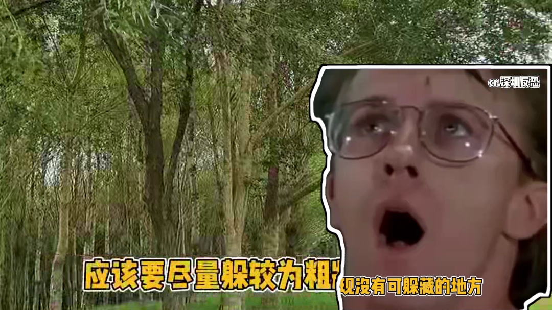 希望这个逃生知识，所有人永远都用不上 #冷知识 #逃生 #安全 #车辆