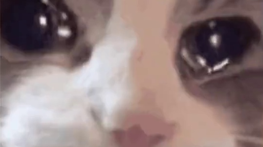 原来是车上没信号是我错怪你了 #艾特你想艾特的人 #不回信息的下场