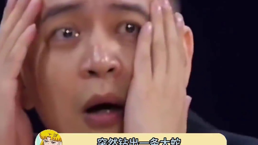 蛇：这不是康复区吗？我怎么走kungfu区来了#蛇 #万万没想到 #真实事件