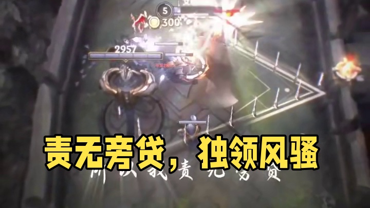 我能做的别人都不行 所以我责无旁贷