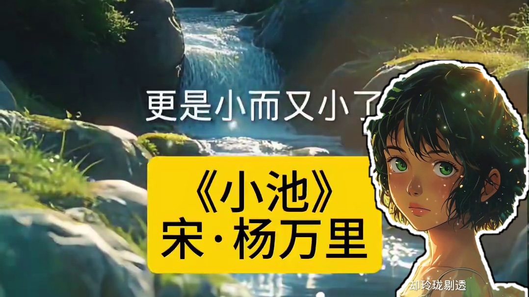 《小池》宋·杨万里