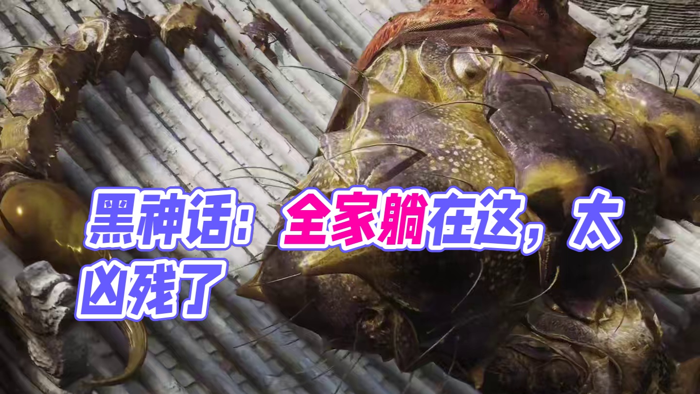 黑神话悟空  毒敌大王 #关于黑神话我有自己的玩法 #黑神话玩家的不同现状 #我的黑神话怎么和你们不