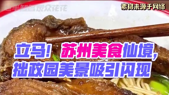 现在！立马！闪现苏州！#苏州 #苏州美食 #拙政园 #沧浪亭 #小巷人家