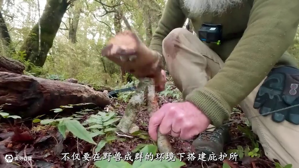 荒野独居  澳洲版  S2 这是一次有价值的挑战，但条件是只能携带时间十件基础的求生工具，不仅要在野