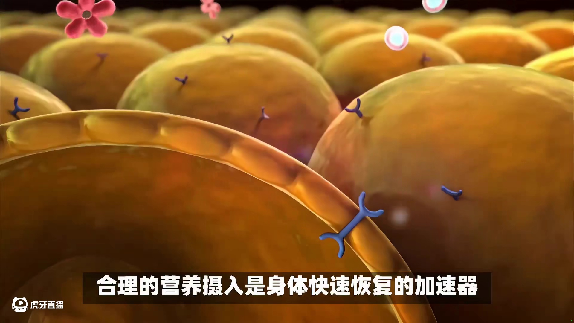 疗后那些小挑战，轻松帮你应对！