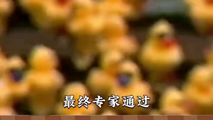 小黄鸭立大功！！ #娱乐评论大赏 #小黄鸭 #海洋奇妙之旅