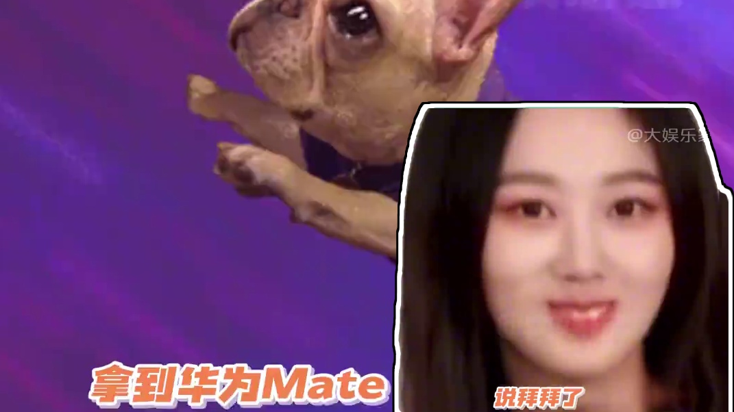 彻底打破缺芯少魂！完全自研！华为Mate 70（麒麟）争气机来了！#华为Mate70自研完全体来了 