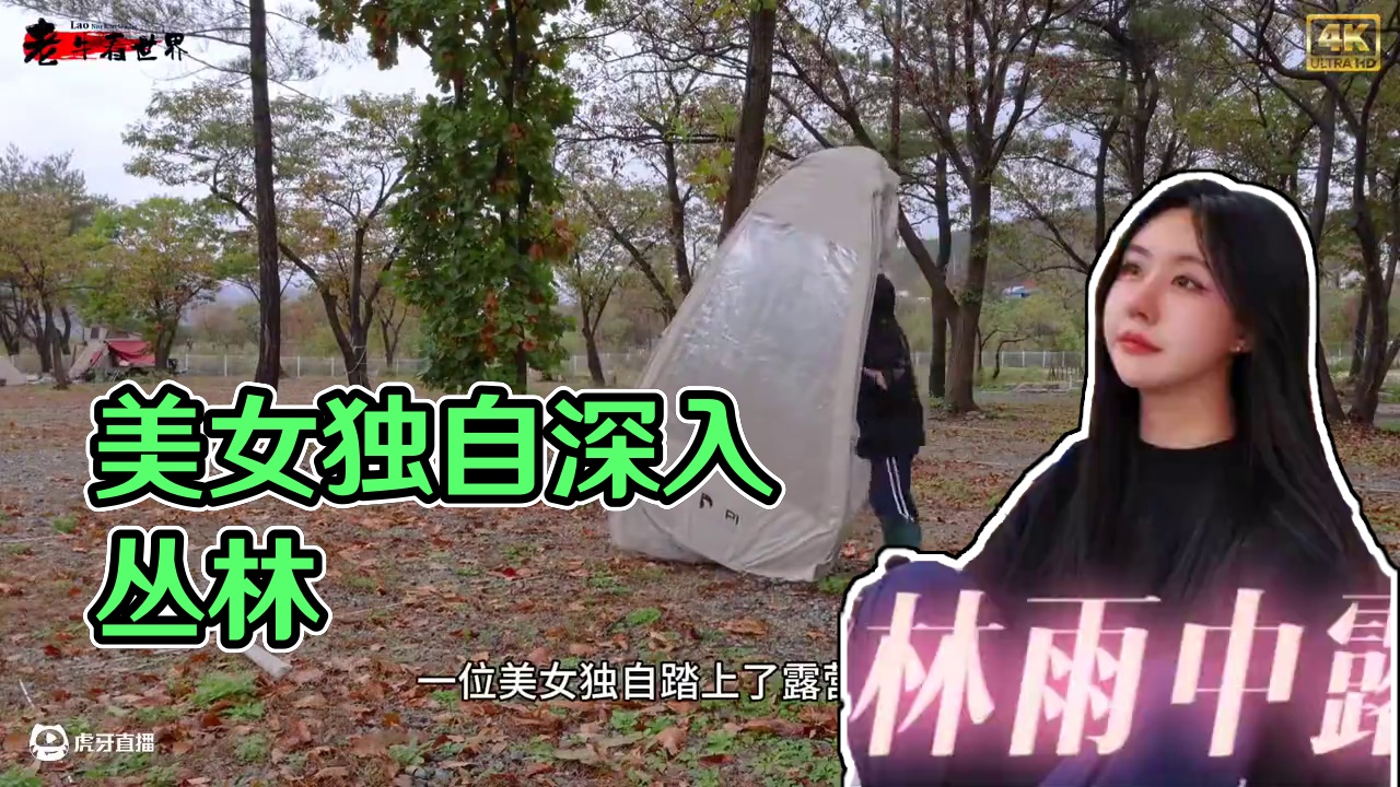 #野外生活纪录片 #野外生存 #真实户外生活 #丛林求生纪录片