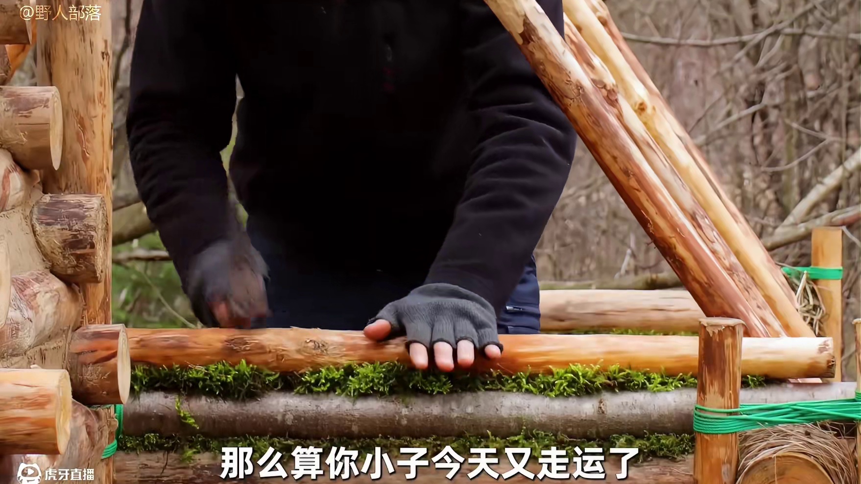 带你沉浸式体验木屋建造，刷到我算你小子走运 #荒野建造 #野外建造 #解压