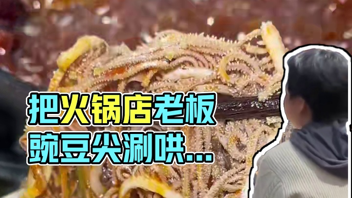 尖叫！把好卷打在公屏上！成都火锅...你... #火锅一涮烦恼消散 #冬天要吃一口温暖美食 #天冷了