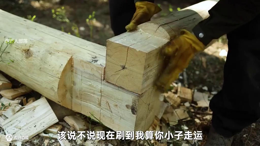 刷到我算你小子走运，男人在森林里徒手打造林中小屋 #荒野建造 #野外建造 #解压