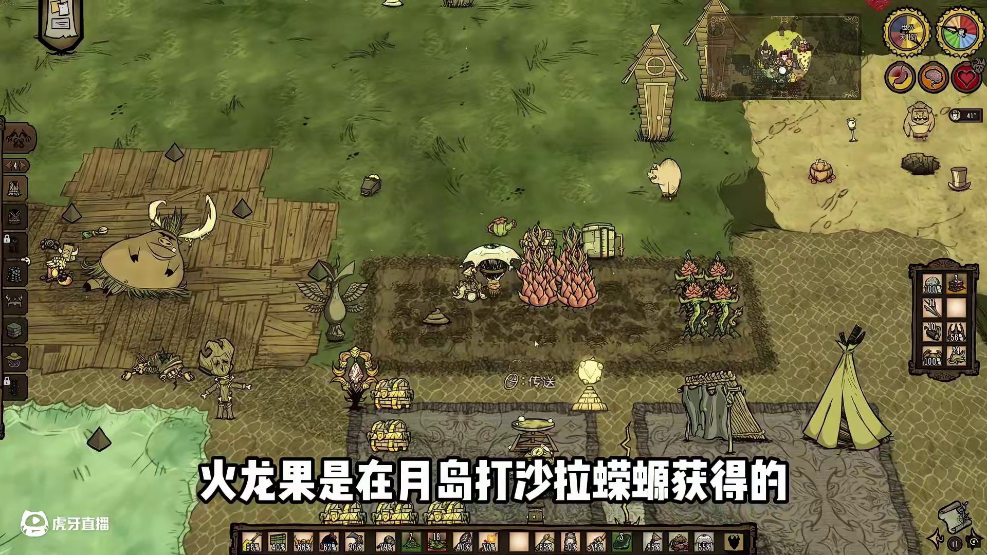 饥荒新手教程第十一期：作物巨大化，单种火龙果，召唤果蝇王 #饥荒 #饥荒联机版 #饥荒新手教程 开s