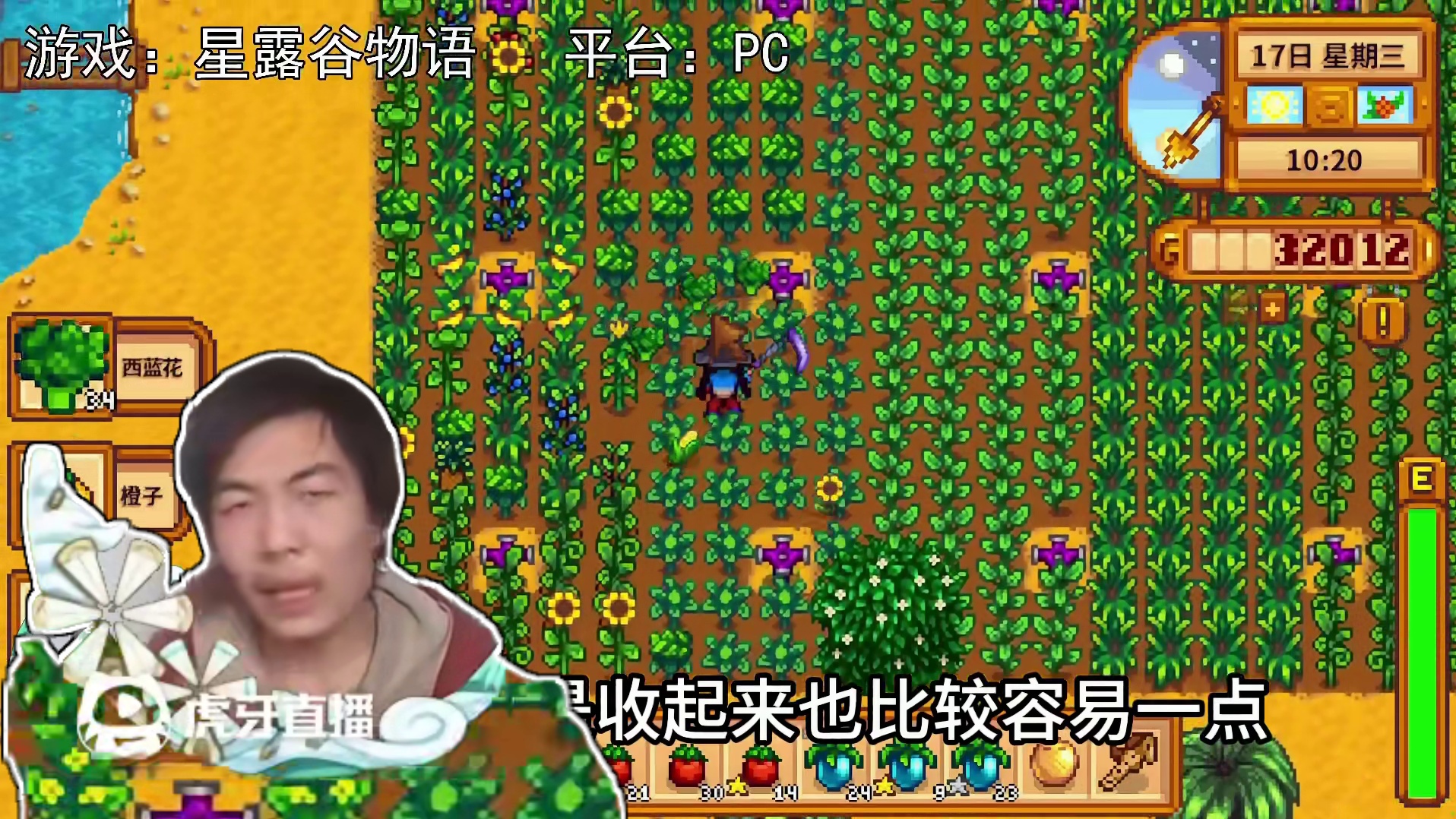 【星露谷物语】收菜，收钱！