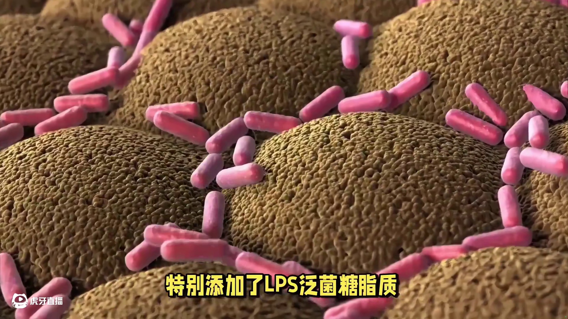 指数upup，体力恢复，营养终于补对了！