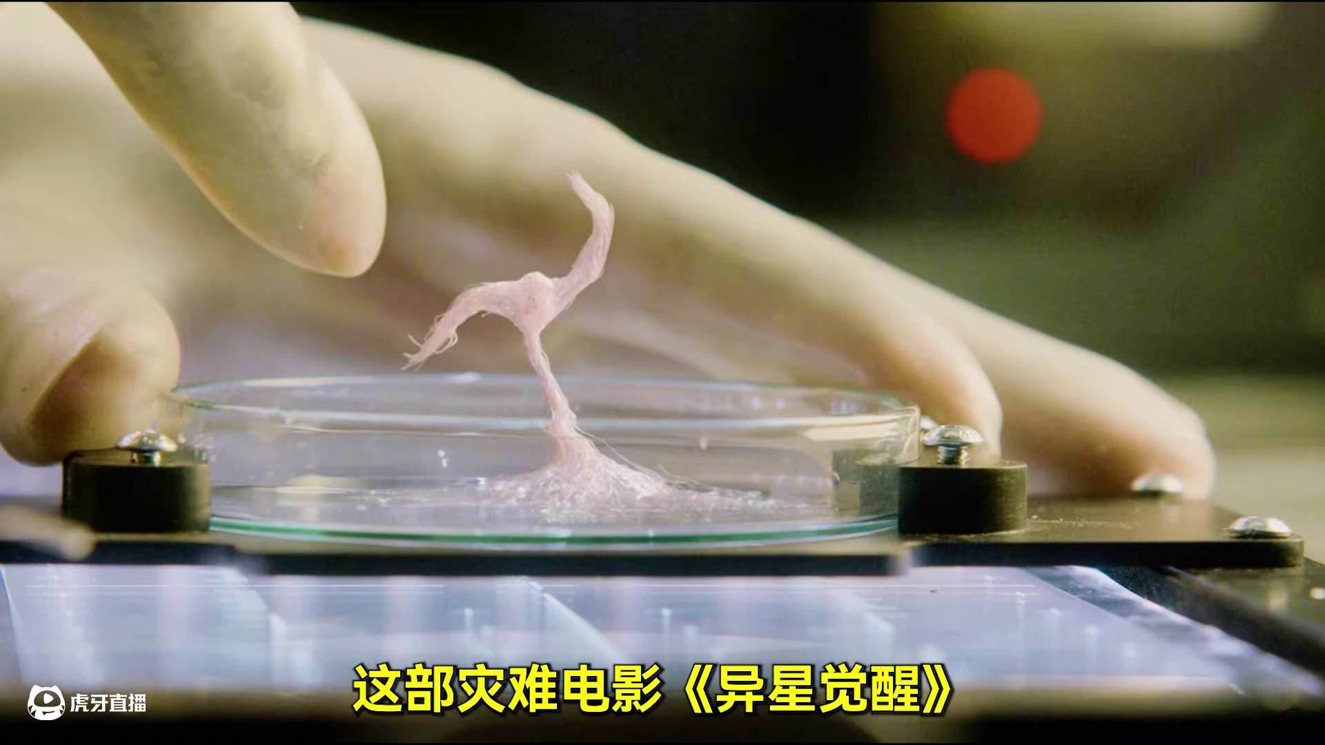 科幻片《异星觉醒》，外星生物入侵空间站，恐怖至极