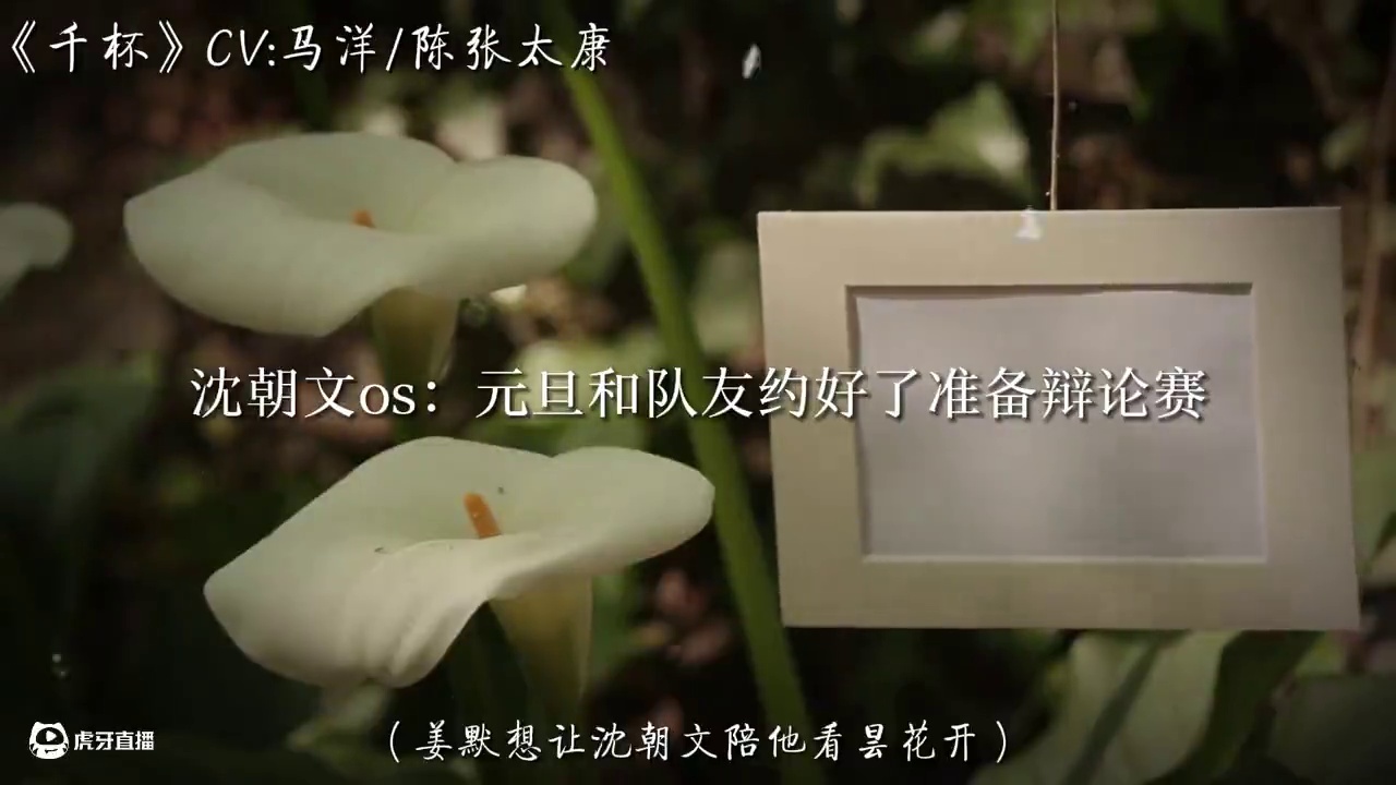 为了你才决定来看昙花，结果却狠狠伤心了啊 #千杯 #配音 #声控