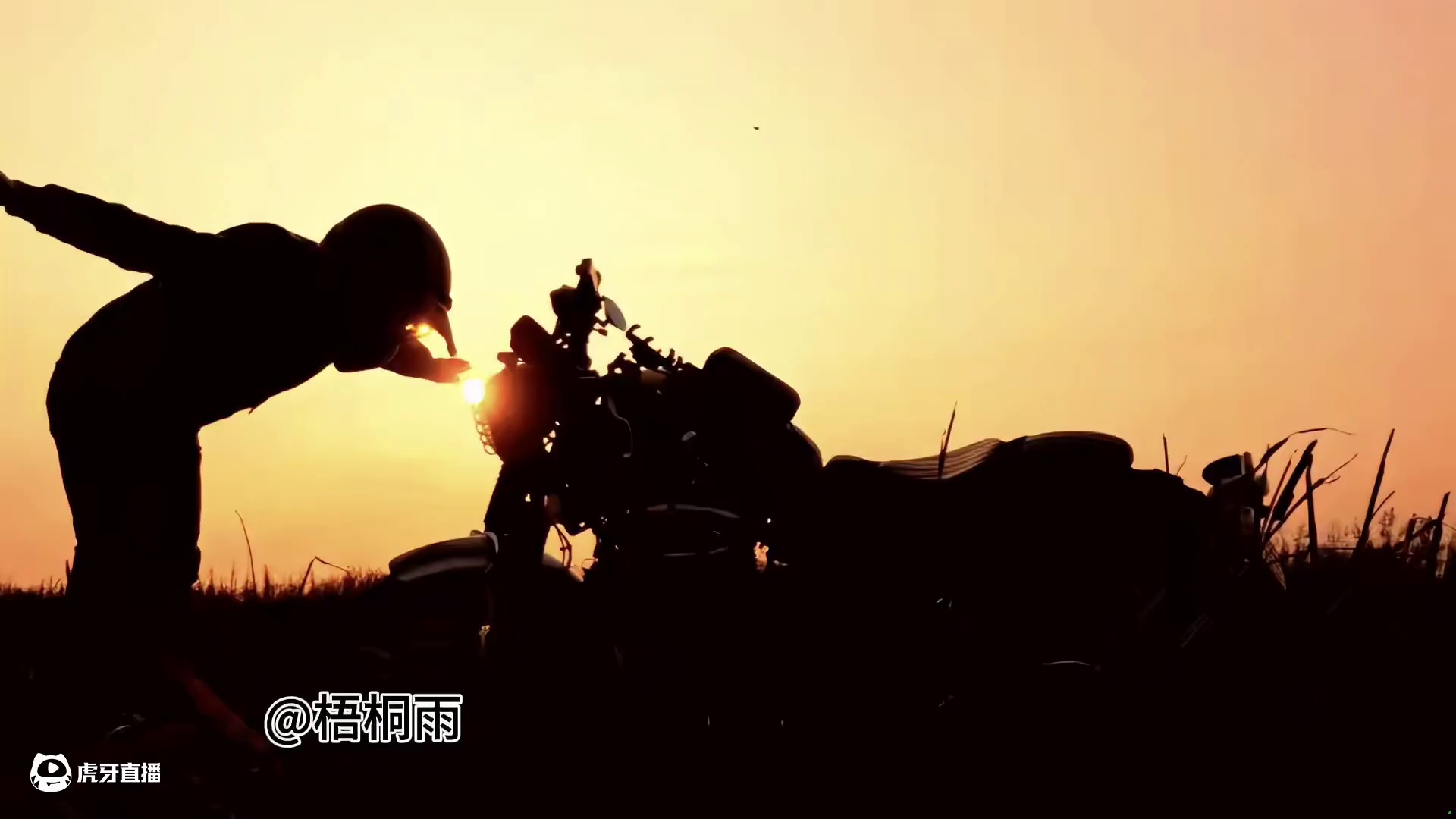 当你旅行时将相机交给别人看看上期兄弟们评论的照片 当你旅行时将相机交给别人#用镜头记录的旅行瞬间 #