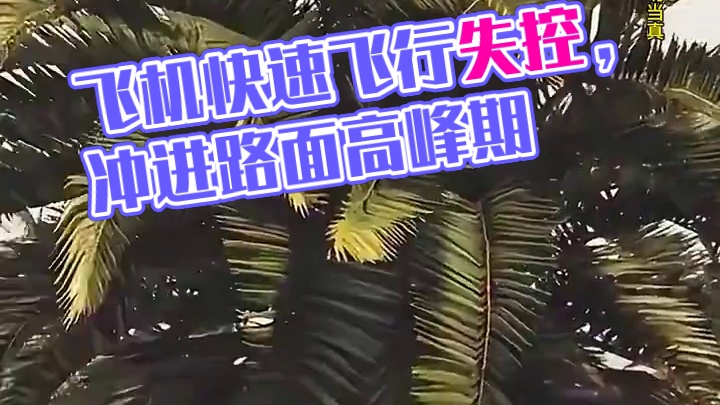 模拟器：飞机的快速飞行出事了#飞机