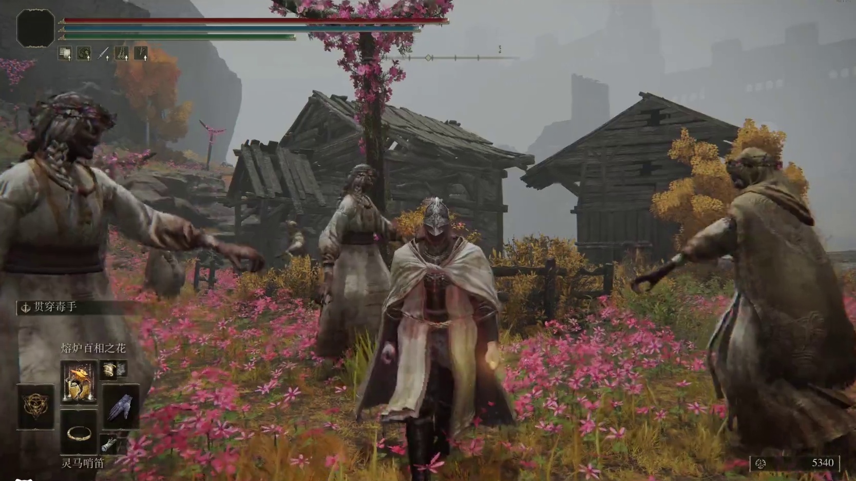 法还最帅动作——熔炉百相之花祷告测评 #艾尔登法环 #艾尔登法环攻略 #steam游戏 #游戏 #游