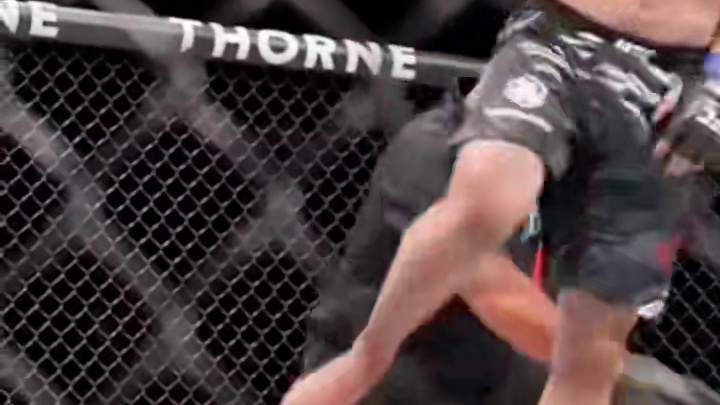 宋克南被散打沙皇穆斯里木招牌动作后旋踢直接KO！#格斗 #ufc