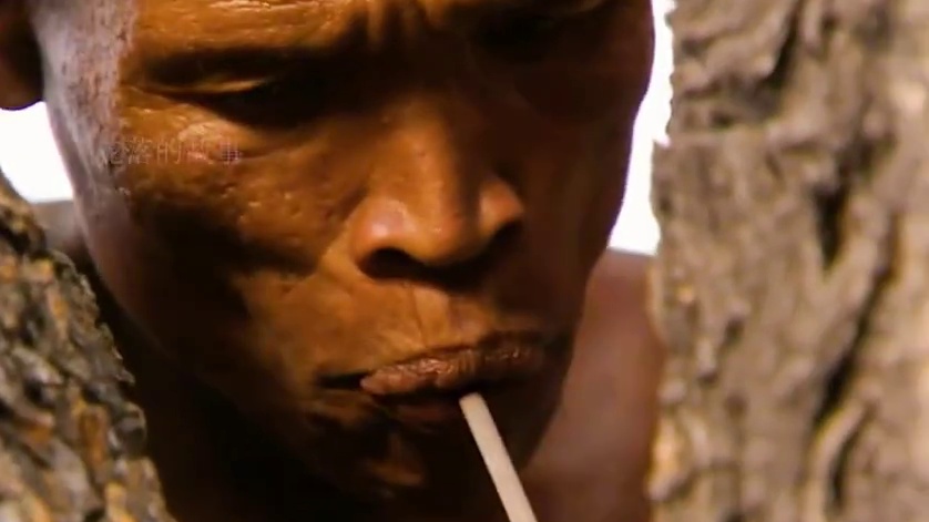 贝爷探险非洲沙漠 #野外生活纪录片 #户外 #荒野求生