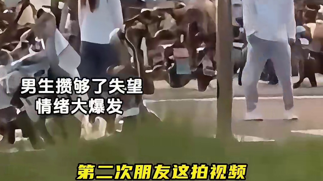 “这不是爱情该有的样子”#水泥封心 #水泥封心从此不爱