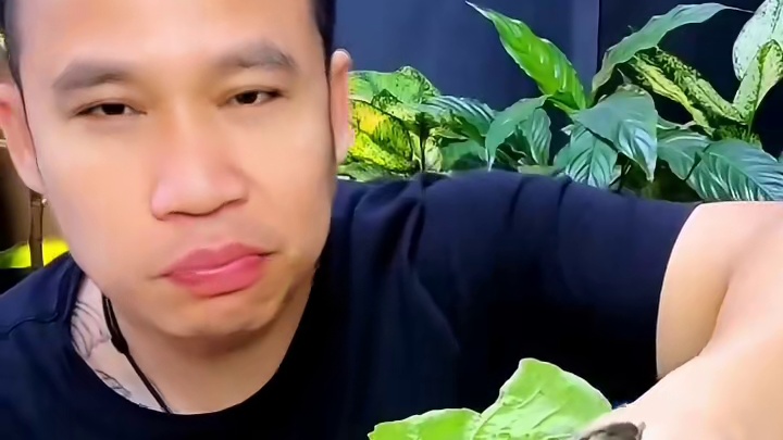 泰国特色美食 #农村户外美食 #舌尖上的美食#泰国美食 #泰国生活