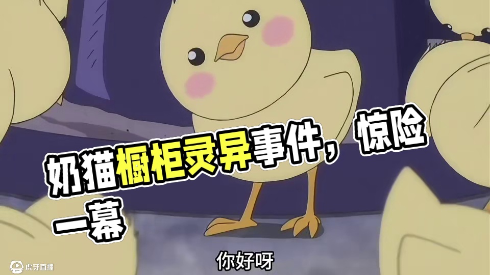 奶猫偷鸡不成，反被教训了一顿。 #甜甜私房猫 #治愈 #可爱