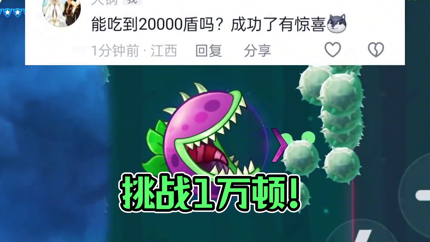 挑战全网最多盾！#球球大作战10000护盾 #球球大作战君山#球球大作战2024嘉年华#球球双冠无敌