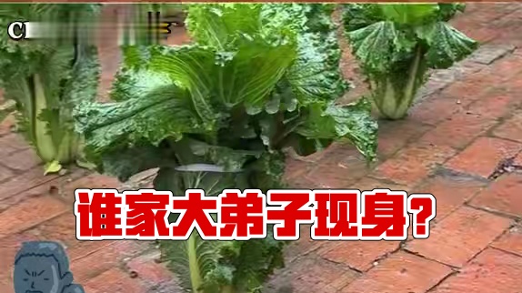 是谁家大弟子跑出来了 #内容过于真实 #木灵根 #娱乐评论大赏