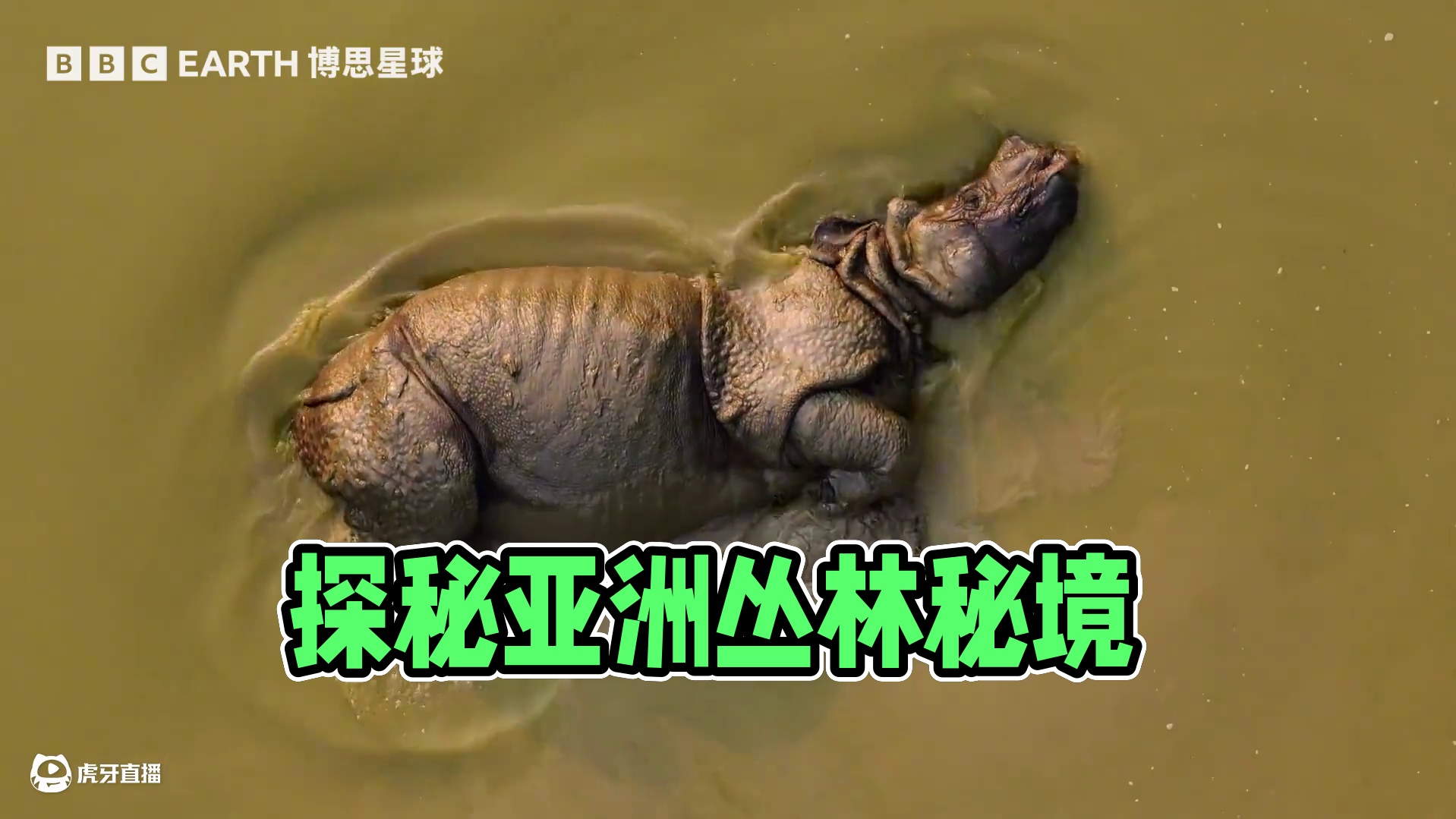 #纪录片《亚洲》  第四集《丛林秘境》将于11月26日22:00正式登陆东方卫视”新纪实“时段。