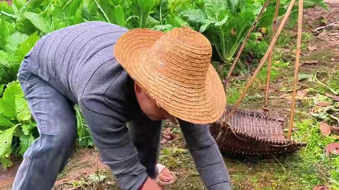 今天捡到宝了，小敏吓一跳以为是怪物，没想到是一条大鲶鱼 #农村美食  #乡村味道  #农村生活 #我