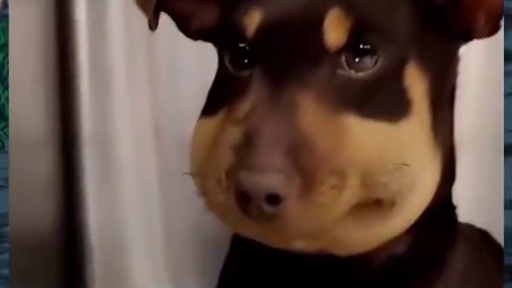 蚊子腿也是肉啊，需要的可以搞一下！ #DNF #2024DNF嘉年华发布会 #地下城与勇士 #DNF