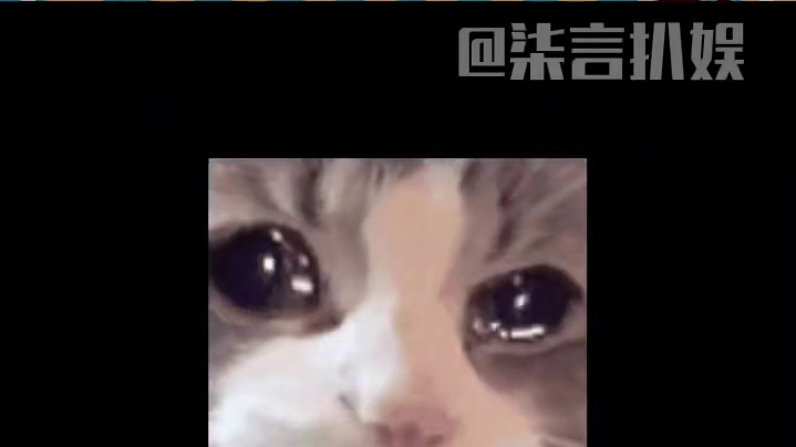 世俗虽然束缚着我但这次我要当齐天大圣#猴子 #现实 #万有灵犀#催泪 #感动