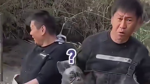 法斗：你才是鱼，你们全家都是鱼！