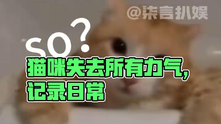 疑似失去所有力气和手段#猫咪 #记录猫咪日常 #萌宠 #橘猫