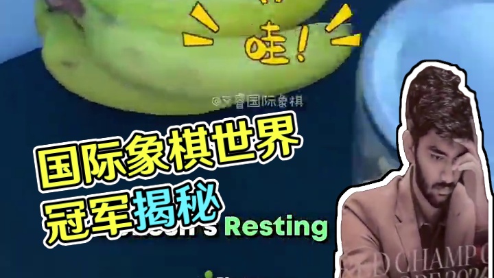 2024国际象棋世界冠军赛，丁立人/古克什，比赛期间休息室揭秘。一起来看看世界冠军的休息室长什么样吧