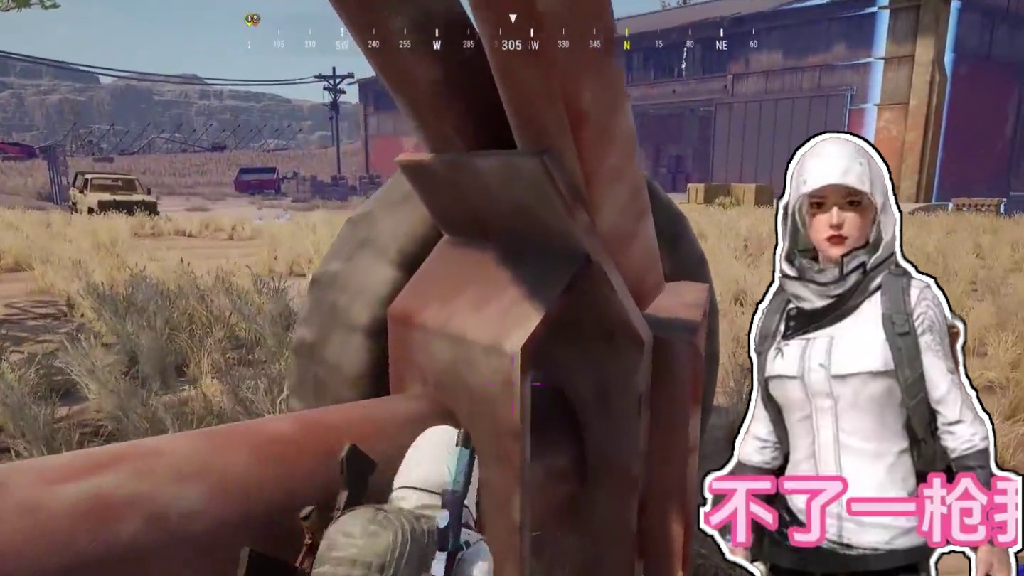 请用一张图描述一下我得队友。#绝地求生 #pubg #游戏日常