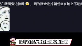 對豬的印象直接大改觀了好嘛#豬 #豬是雜食動物 #萬萬沒想到 #二師兄