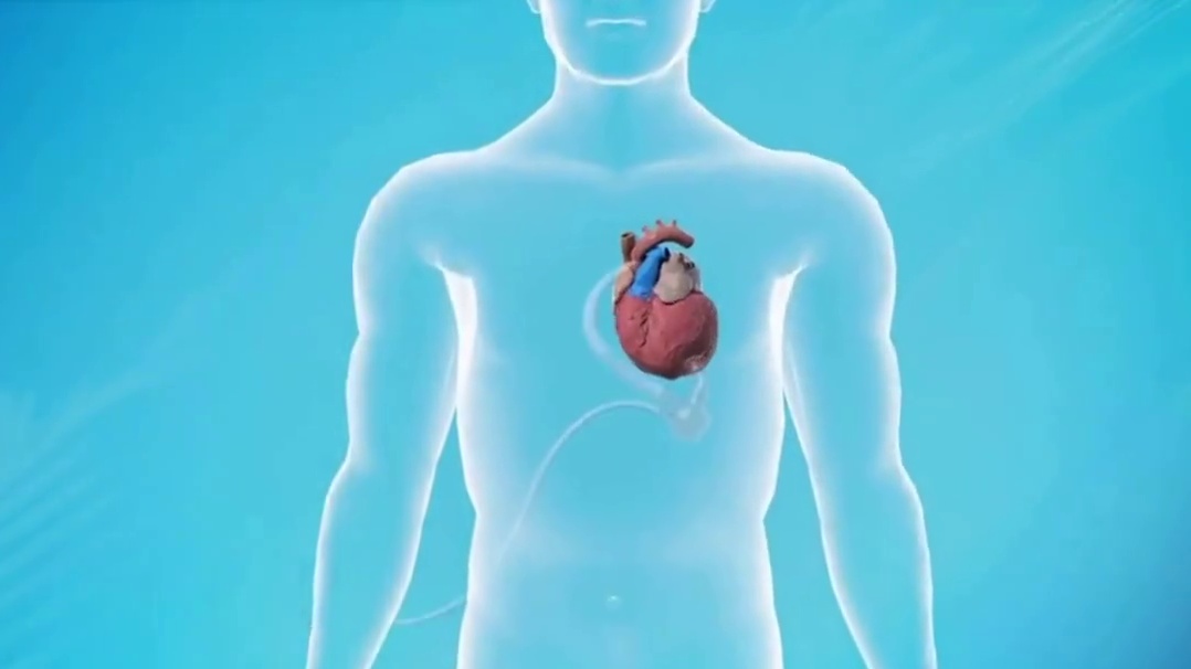 心属火，是五行学说中的精髓哦！你知道吗？