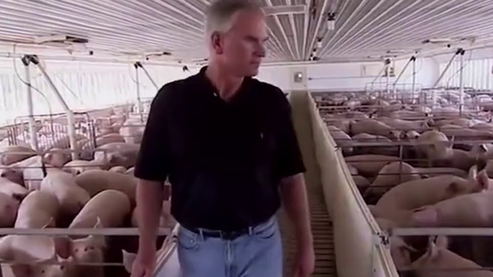 我国制裁欧洲猪肉