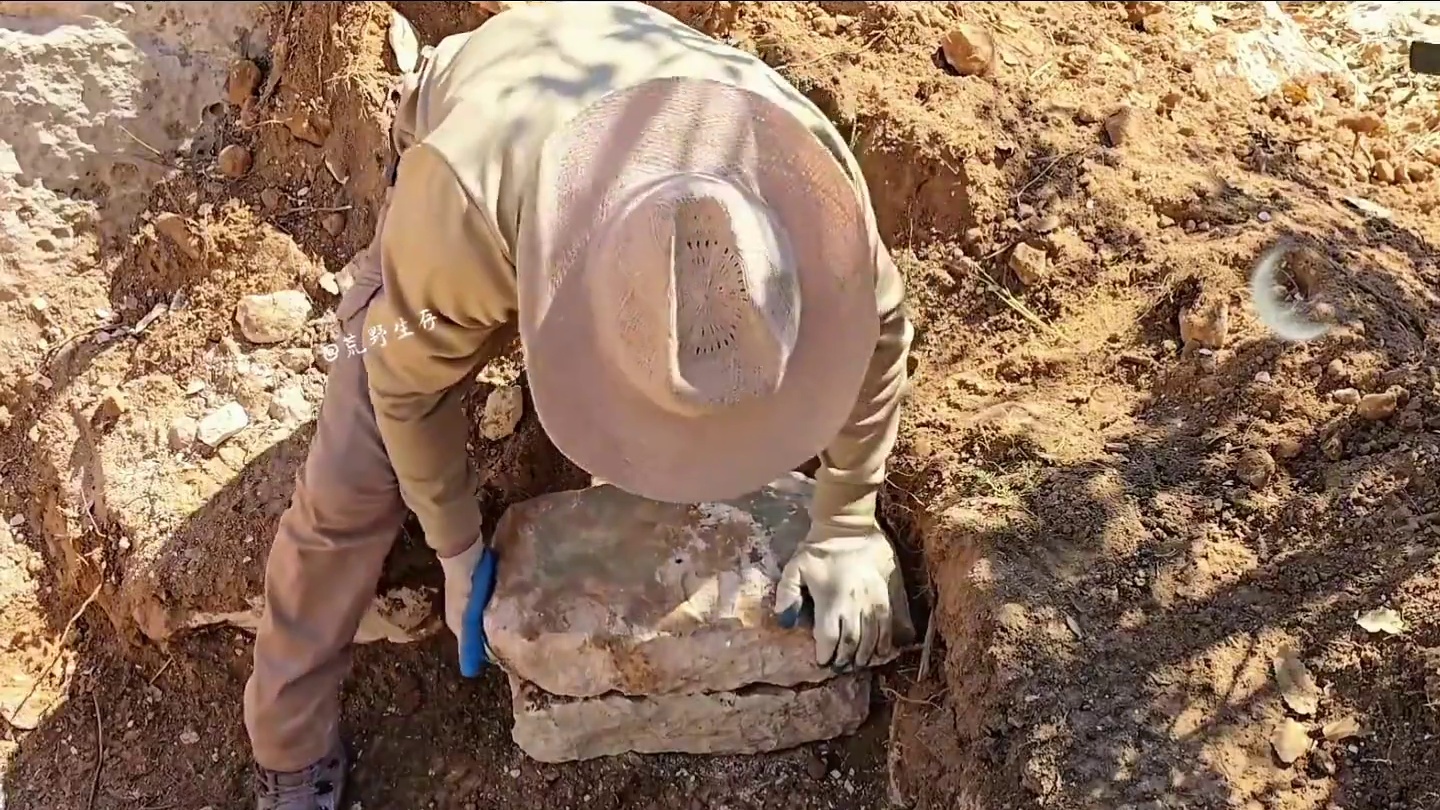 可是一座重达上万吨的庇护所，它搭建在两块巨石的夹角之间！ #荒野建造 #解压 #野外生存