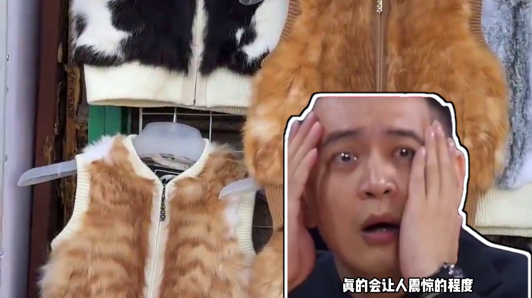 拒绝动物皮草，让他们可以幸福的走完一生#猫皮大衣 #流浪猫 #猫猫 #万万没想到 #拒绝动物皮草