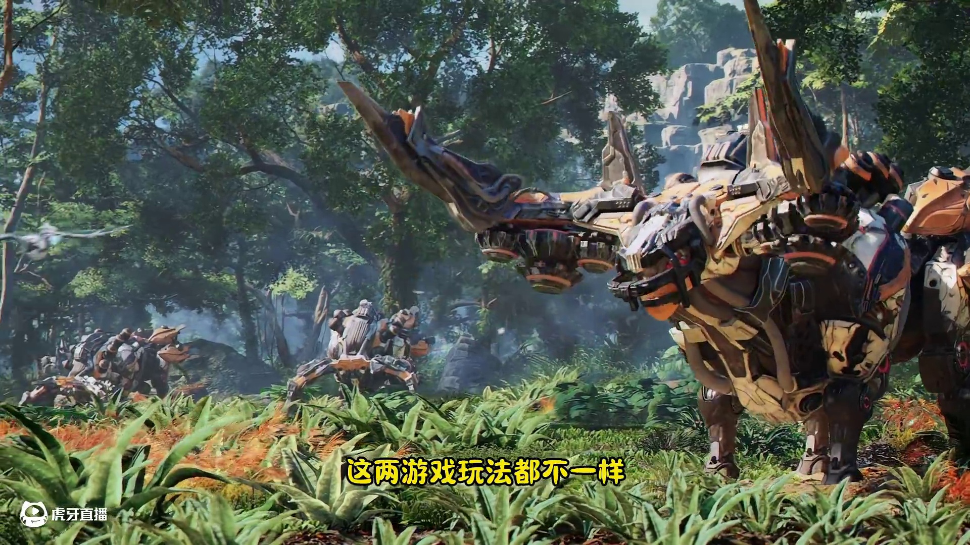 对于《荒野起源》是否抄袭的个人见解