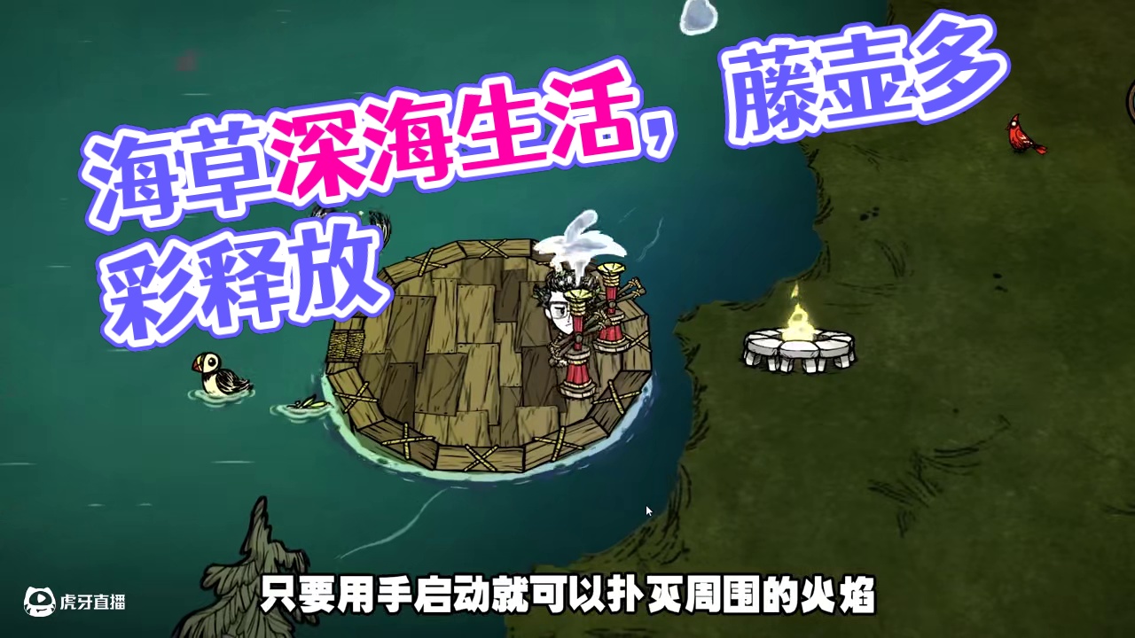 饥荒联机版：你对海草的了解有多少呢？ #饥荒 #游戏