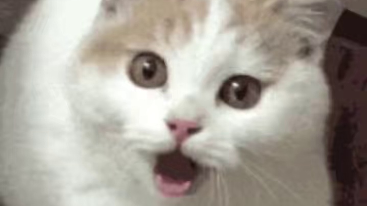 这条狗我知道，高考坐我前面，还给我报语文答案来着 #娱乐评论大赏 #边牧 #可爱 #狗狗