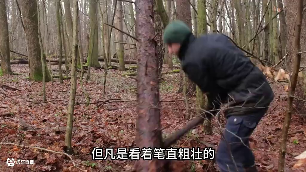 独自一人在森林里搭建小木屋 #野外建造 #庇护所建造 #野外生活 #解压 #木屋建造