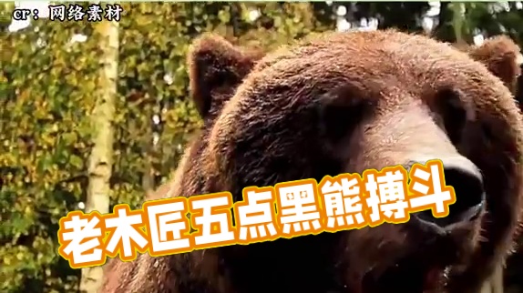 太猛了！武松打虎可能是假的，但是这老辈子单挑黑熊可是真的 #黑熊袭击 #黑熊 #四川 #真实事件 #