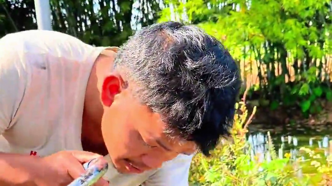 看起来螺不像螺 贝壳不像贝壳吃起来却很美味 #农村生活 #农村美食 #乡村味道 #妈呀太香了 #我在