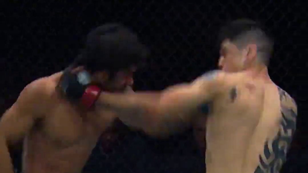 朝仓海能否完成首秀即夺冠的壮举？且看#UFC310 ！